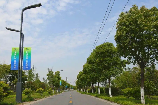 6米智慧路灯杆价格多少钱一个